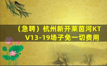 白城酒吧招聘